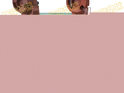 Double sided printing machine